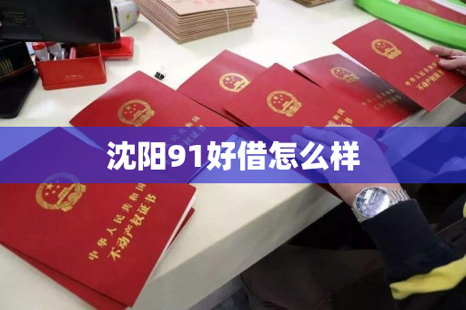 沈阳91好借怎么样 沈阳91好借怎么样