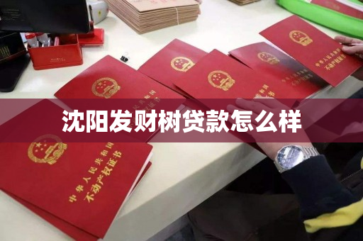 沈阳发财树贷款怎么样 沈阳发财树贷款怎么样