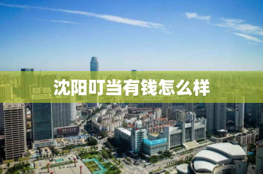 沈阳叮当有钱怎么样