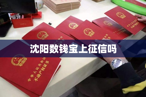 沈阳数钱宝上征信吗