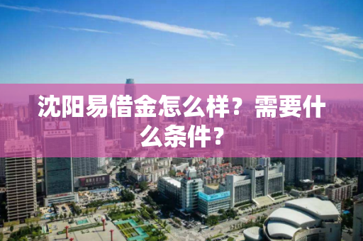 沈阳易借金怎么样？需要什么条件？