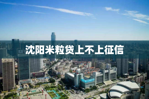 沈阳米粒贷上不上征信