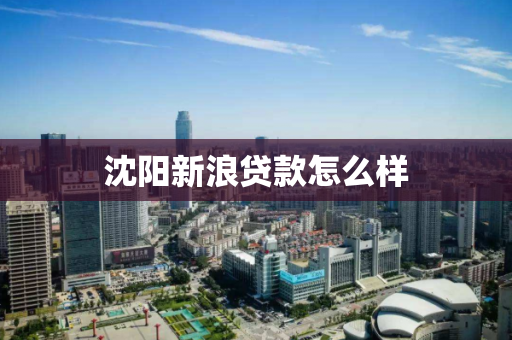 沈阳新浪贷款怎么样