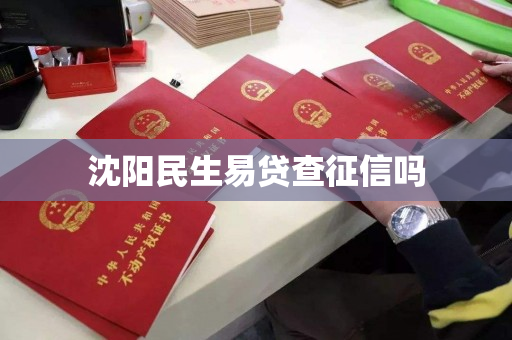 沈阳民生易贷查征信吗