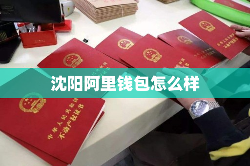 沈阳阿里钱包怎么样