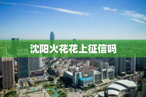 沈阳火花花上征信吗 沈阳火花花上征信吗