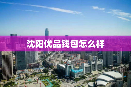 沈阳优品钱包怎么样