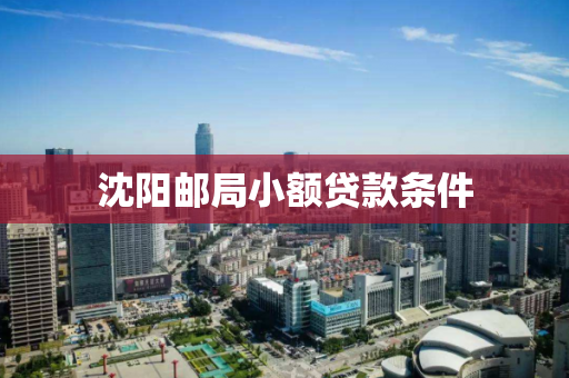 沈阳邮局小额贷款条件