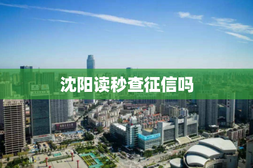 沈阳读秒查征信吗