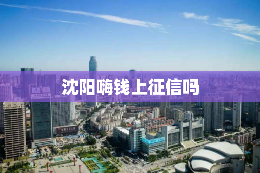 沈阳嗨钱上征信吗