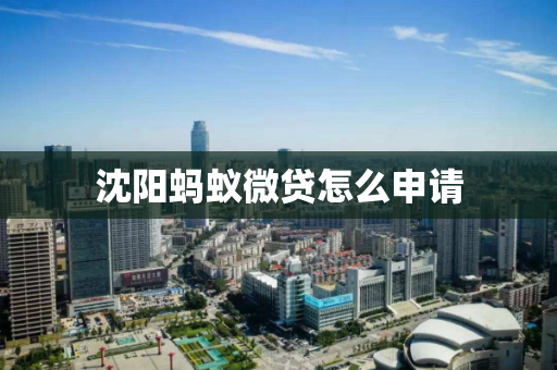沈阳蚂蚁微贷怎么申请