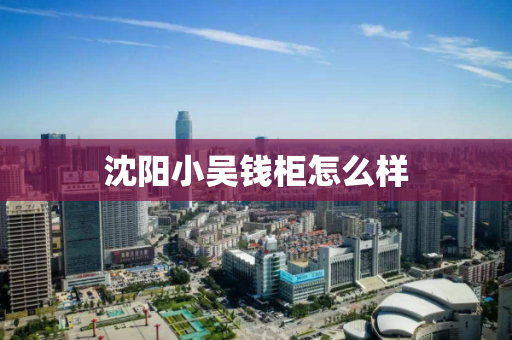 沈阳小吴钱柜怎么样 沈阳小吴钱柜怎么样
