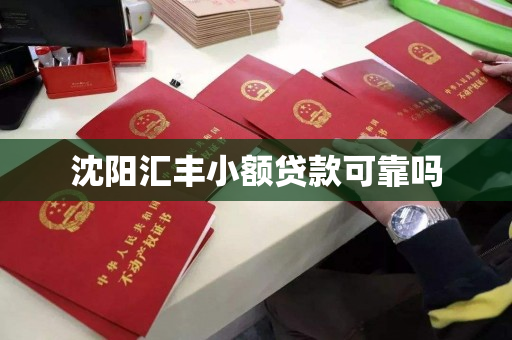 沈阳汇丰小额贷款可靠吗 沈阳汇丰小额贷款可靠吗