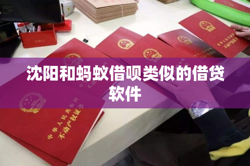 沈阳和蚂蚁借呗类似的借贷软件