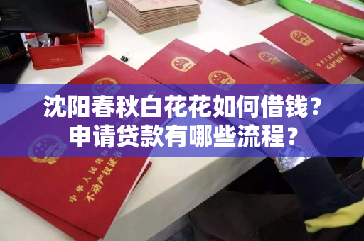 沈阳春秋白花花如何借钱?申请贷款有哪些流程? 沈阳春秋白花花如何借钱?申请贷款有哪些流程?