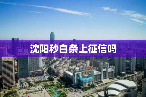 沈阳秒白条上征信吗