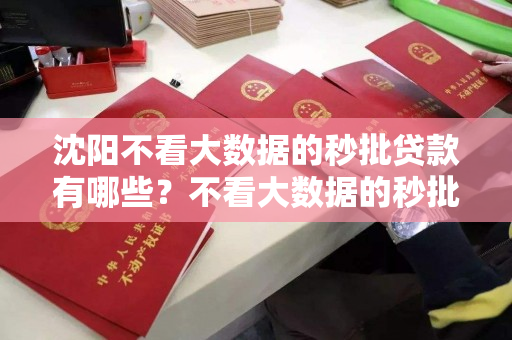 沈阳不看大数据的秒批贷款有哪些？不看大数据的秒批贷款有那些特点？