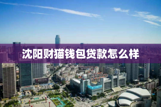 沈阳财猫钱包贷款怎么样