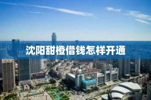 沈阳甜橙借钱怎样开通