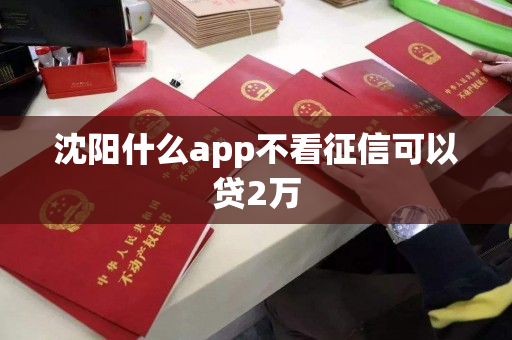 沈阳什么app不看征信可以贷2万 沈阳什么app不看征信可以贷2万