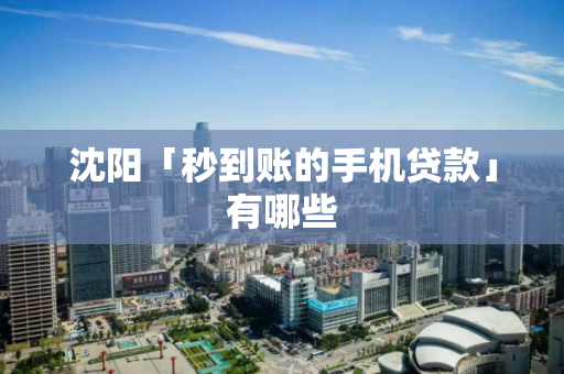 沈阳「秒到账的手机贷款」有哪些