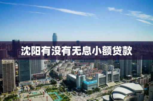 沈阳有没有无息小额贷款