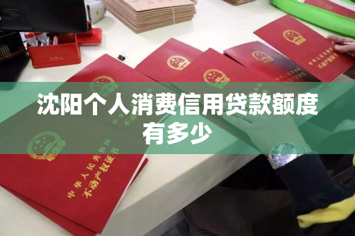 沈阳个人消费信用贷款额度有多少