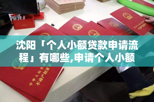 沈阳「个人小额贷款申请流程」有哪些,申请个人小额贷款条件需提前知道