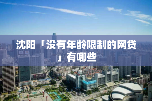 沈阳「没有年龄限制的网贷」有哪些
