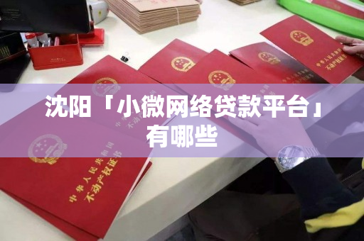 沈阳「小微网络贷款平台」有哪些