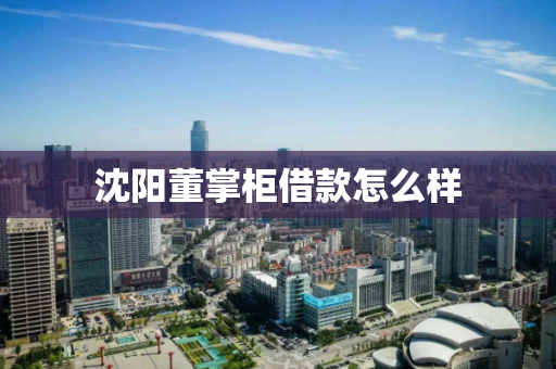 沈阳董掌柜借款怎么样