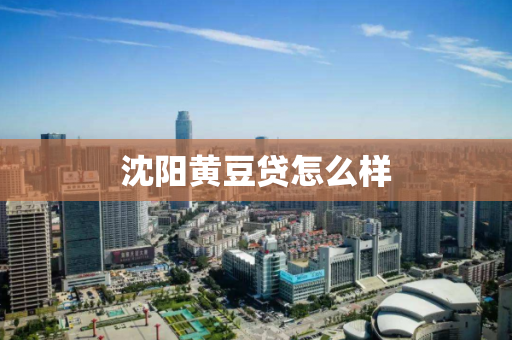 沈阳黄豆贷怎么样