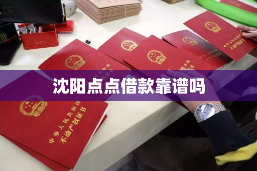 沈阳点点借款靠谱吗 沈阳点点借款靠谱吗