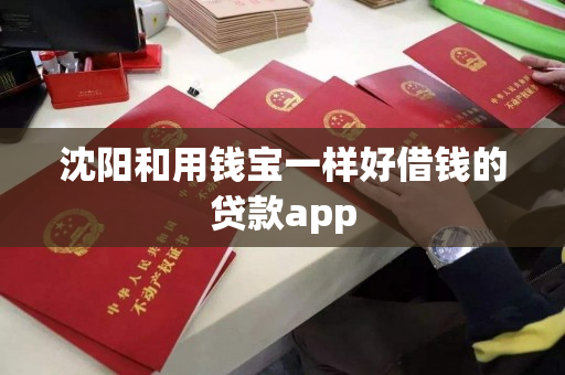 沈阳和用钱宝一样好借钱的贷款app 沈阳和用钱宝一样好借钱的贷款app