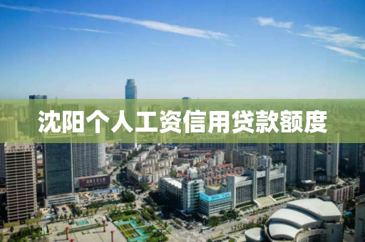 沈阳个人工资信用贷款额度 沈阳个人工资信用贷款额度