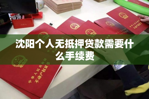 沈阳个人无抵押贷款需要什么手续费 沈阳个人无抵押贷款需要什么手续费