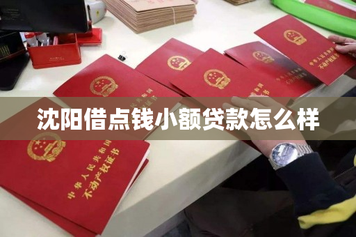 沈阳借点钱小额贷款怎么样