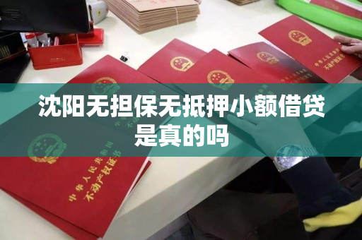 沈阳无担保无抵押小额借贷是真的吗