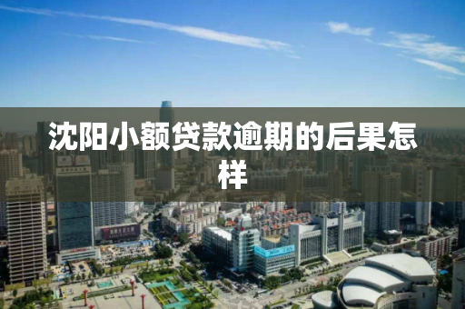 沈阳小额贷款逾期的后果怎样 沈阳小额贷款逾期的后果怎样
