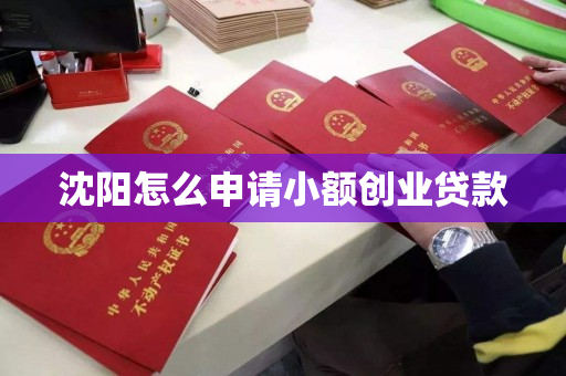 沈阳怎么申请小额创业贷款