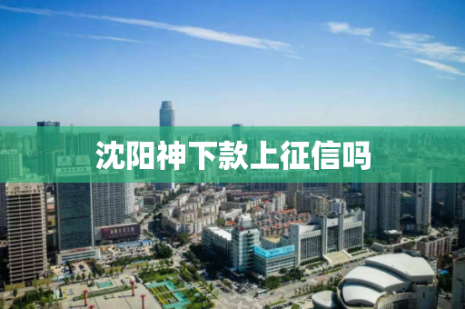 沈阳神下款上征信吗 沈阳神下款上征信吗