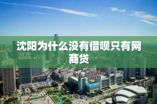 沈阳为什么没有借呗只有网商贷