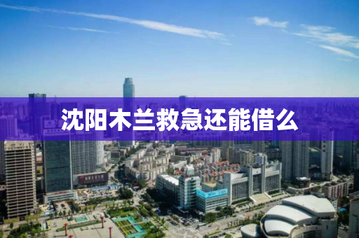 沈阳木兰救急还能借么