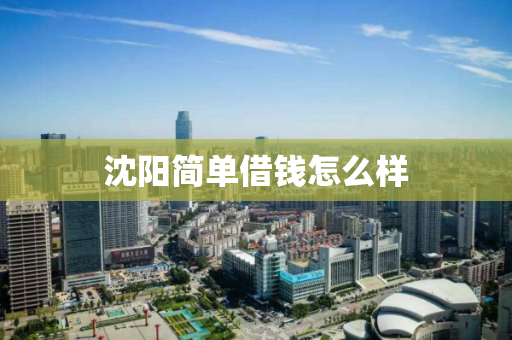沈阳简单借钱怎么样 沈阳简单借钱怎么样