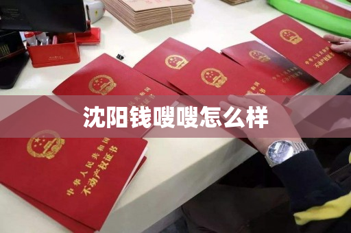 沈阳钱嗖嗖怎么样