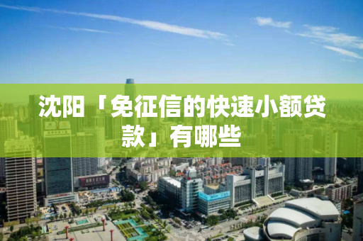 沈阳「免征信的快速小额贷款」有哪些