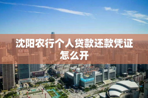 沈阳农行个人贷款还款凭证怎么开