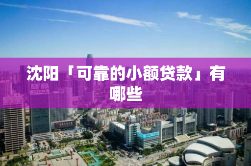 沈阳「可靠的小额贷款」有哪些