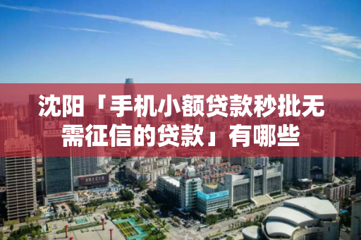 沈阳「手机小额贷款秒批无需征信的贷款」有哪些 沈阳「手机小额贷款秒批无需征信的贷款」有哪些