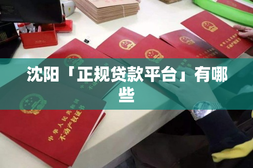 沈阳「正规贷款平台」有哪些